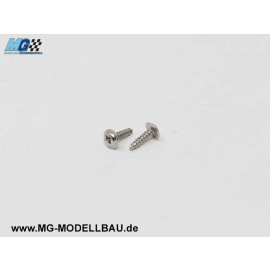 Stainless steel self-tapping screw 2x8mm